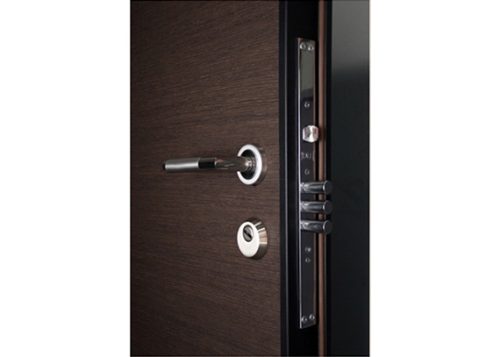 SIGURNOSNA VRATA Doras / po meri /